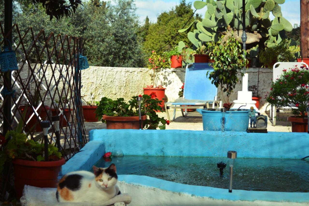 Holiday home Moumouri's House Gastouri (Corfu)